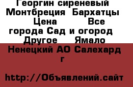 Георгин сиреневый. Монтбреция. Бархатцы.  › Цена ­ 100 - Все города Сад и огород » Другое   . Ямало-Ненецкий АО,Салехард г.